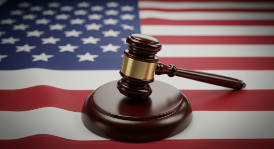 Government Auctions
